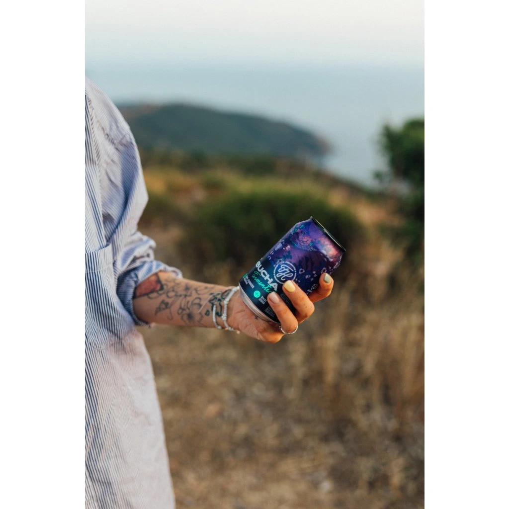 prager's, kombucha matcha, 330ml - imagine 3